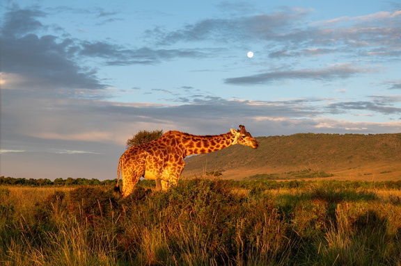2026-Africa-267