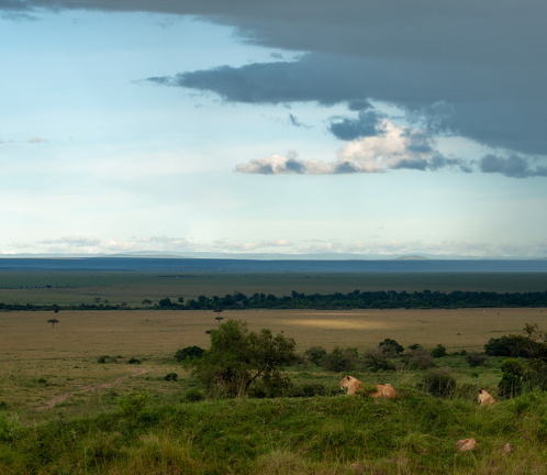 2026-Africa-353