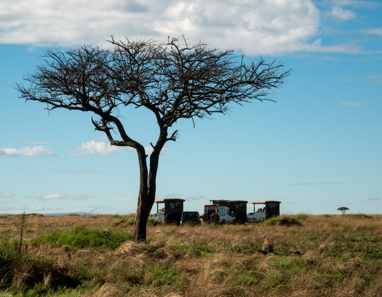 2026-Africa-360