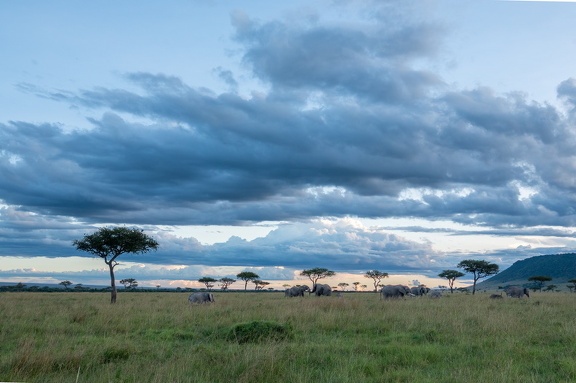 2026-Africa-460-HDR