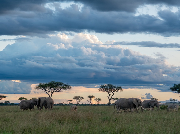 2026-Africa-463-HDR